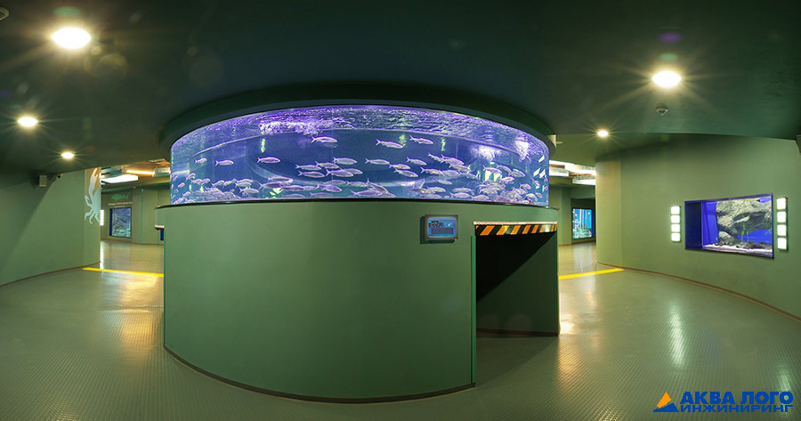 Фото 2. Кольцевой аквариум - воплощение дизайна